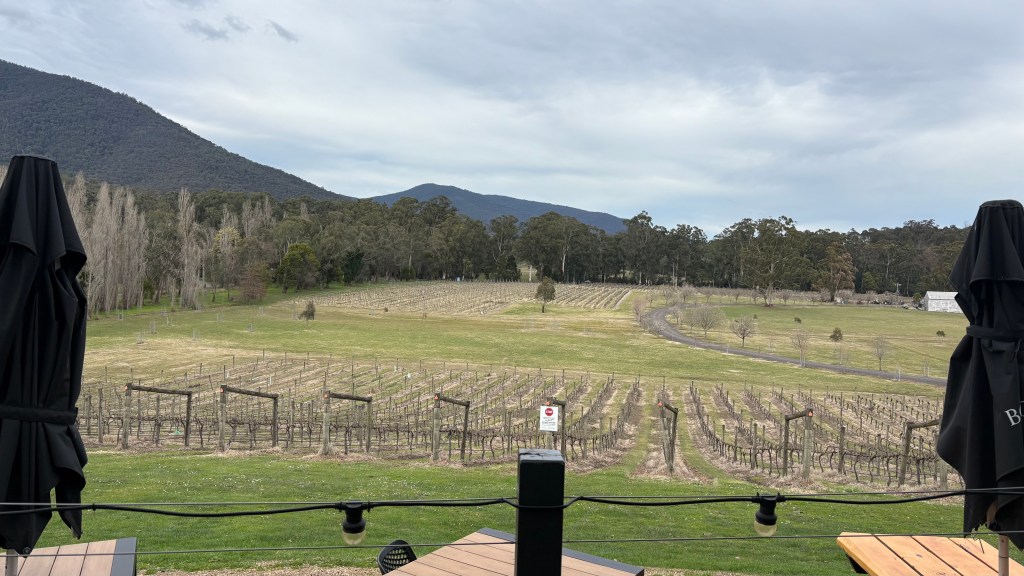 Yarra Valley Vineyard